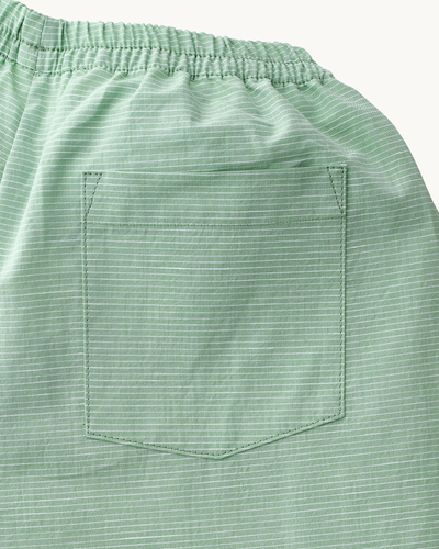 Cotton Pants Green