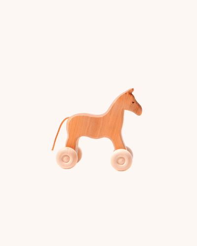 Willy the Wooden Horse